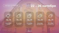 Прогноз погоды в Москве с 22 по 26 октября: до плюс 11 и облачно