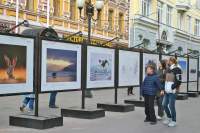 Выставку фотографий дикой природы &laquo;Экология в объективе&raquo; на Арбате можно увидеть до 1 ноября